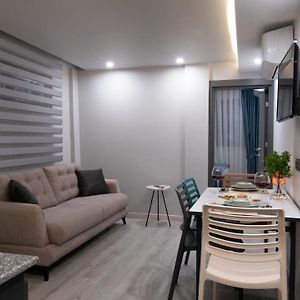 Suite Standarde